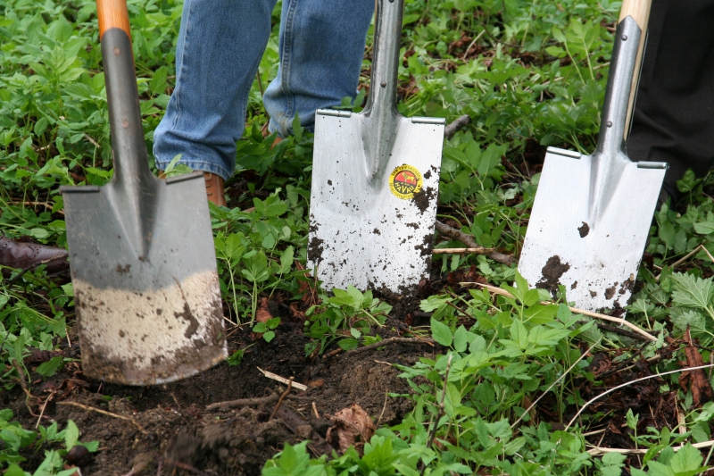 pepiniere-CANTARON-min_work-lawn-flower-tool-green-backyard-1103633-pxhere.com